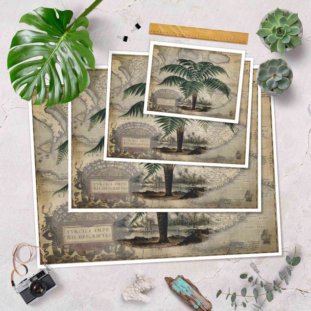 Tableaux muraux Collage Vintage - Palmier et carte du monde
