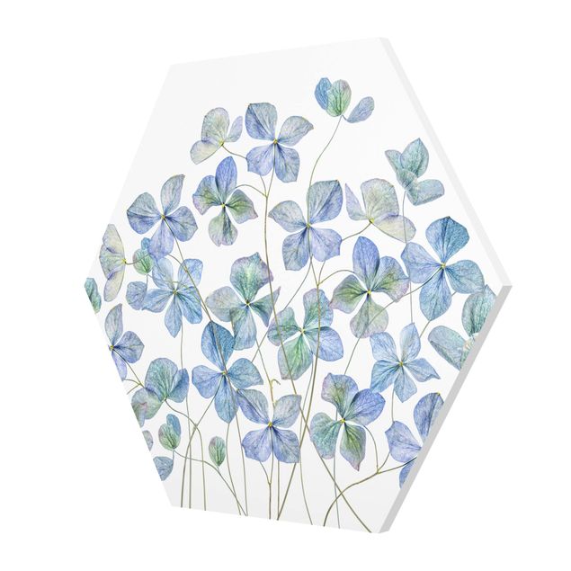 Tableau deco bleu Fleurs d'hortensia bleues