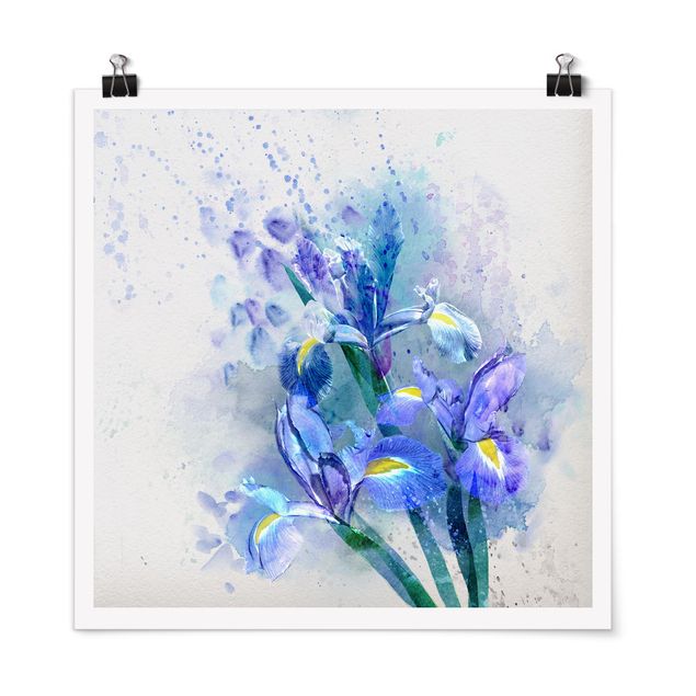 Tableau fleurs Aquarelle Fleurs Iris
