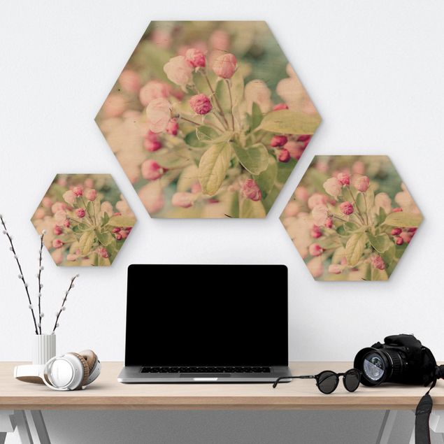 Hexagon Picture Wood - Apple Blossom Pink Bokeh