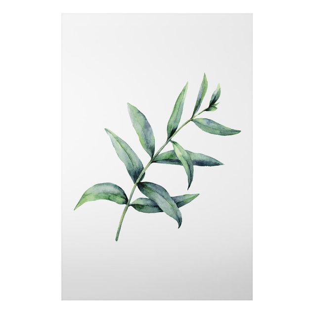Tableau moderne Eucalyptus Aquarelle l