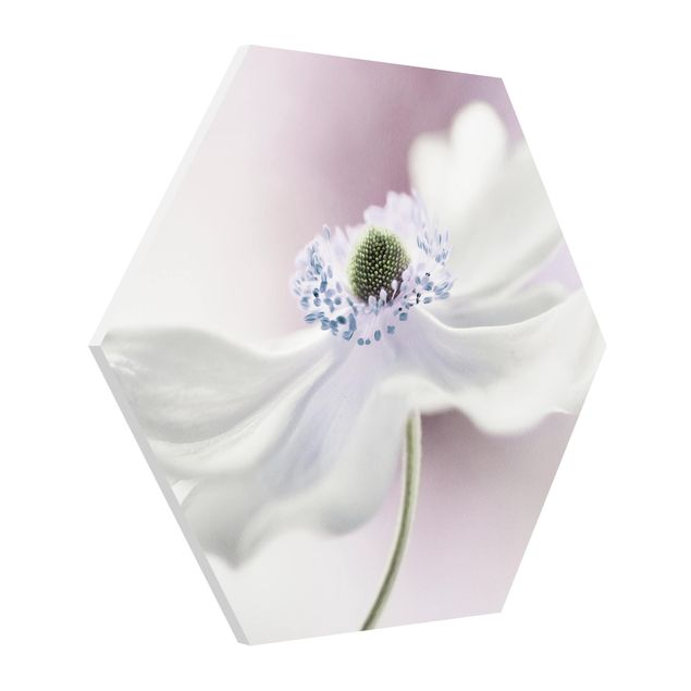 Tableau floral Brise d'anémone