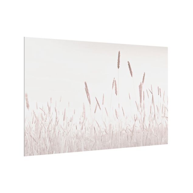 Fond de hotte verre Summerly Reed Grass