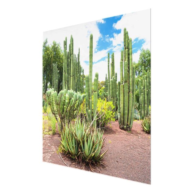 Tableaux en verre fleurs Paysage de cactus