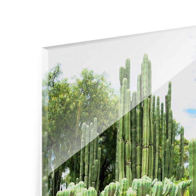 Tableaux moderne Paysage de cactus
