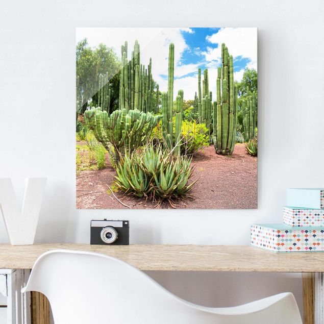 Tableaux muraux Paysage de cactus