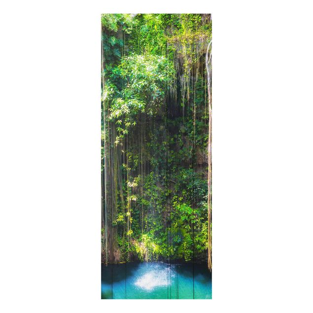 Tableaux en verre cascade Racines suspendues du Ik-Kil Cenote
