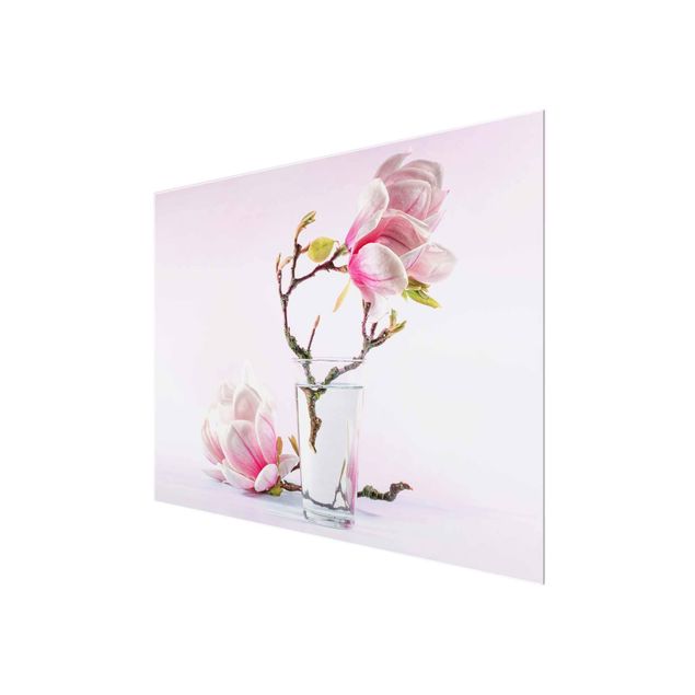 Tableaux en verre magnétique Magnolia Dans Un Verre