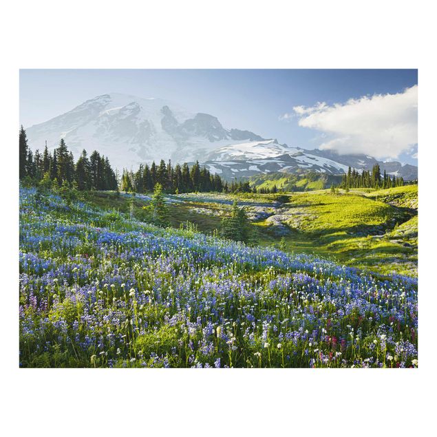 Tableau verre montagne Mountain Meadow With Blue Flowers in Front of Mt. Rainier