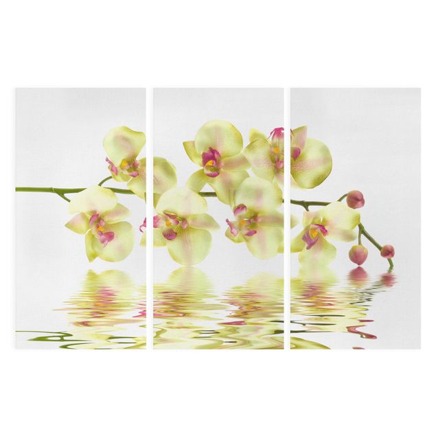 Tableaux fleurs Dreamy Orchid Waters
