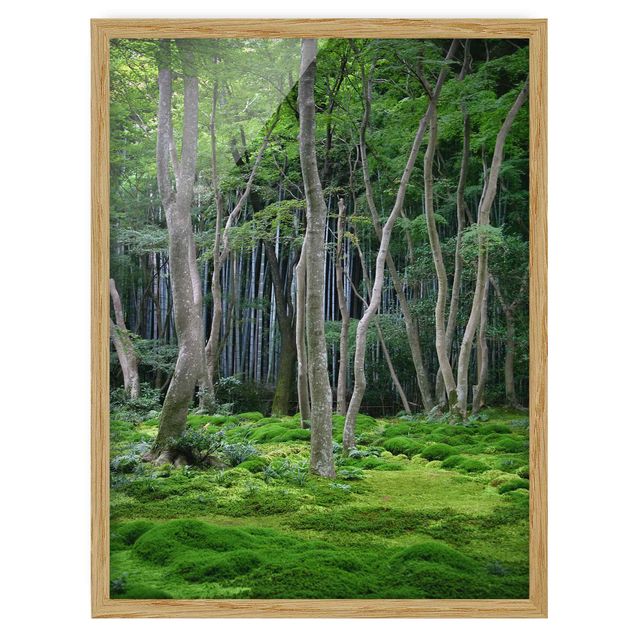 Affiches encadrées paysage Forêt japonaise