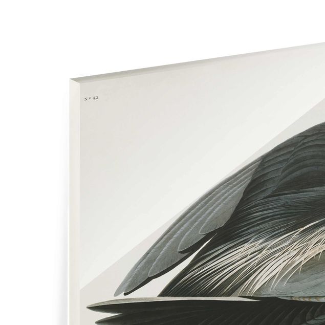 Tableaux en verre magnétique Tableau Botanique Blue Heron