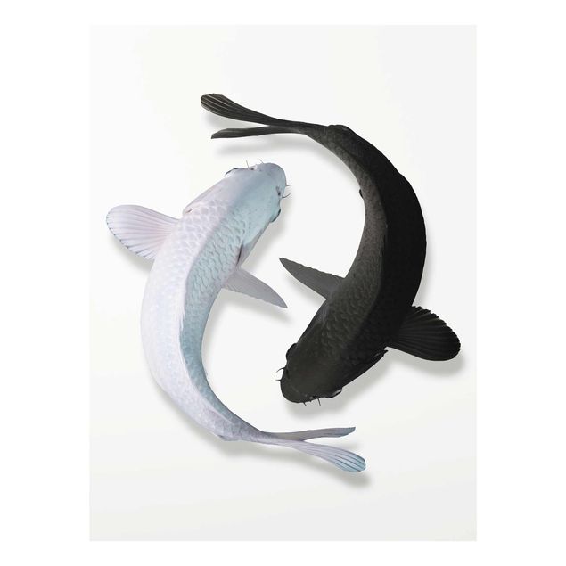 Tableau animaux Poisson Ying Yang