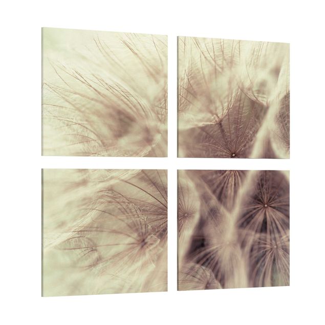 Toile pissenlit Macro photo détaillée d'un pissenlit avec effet de flou vintage