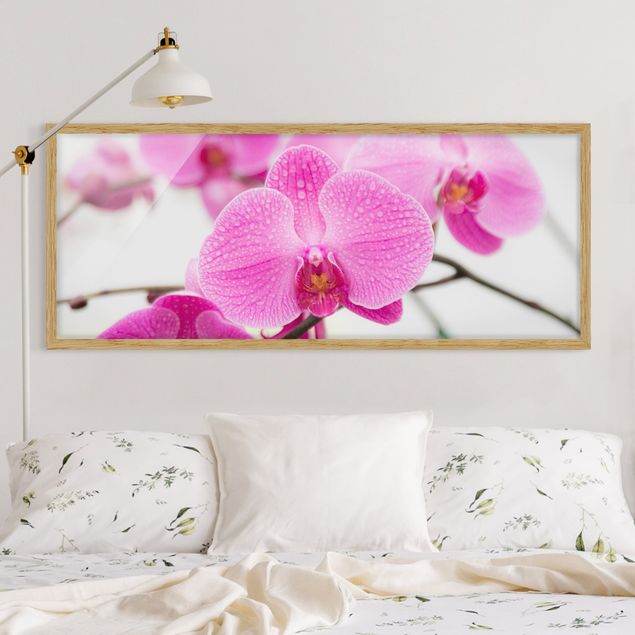 Tableau orchidée Gros plan sur une orchidée