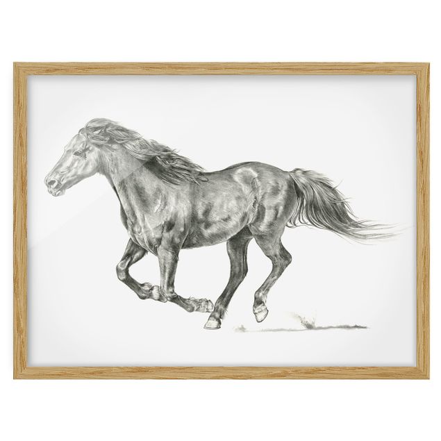 Tableaux modernes Cheval sauvage - Jument