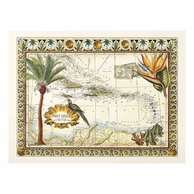 Tableau paysages Carte Vintage Tropicale Antilles