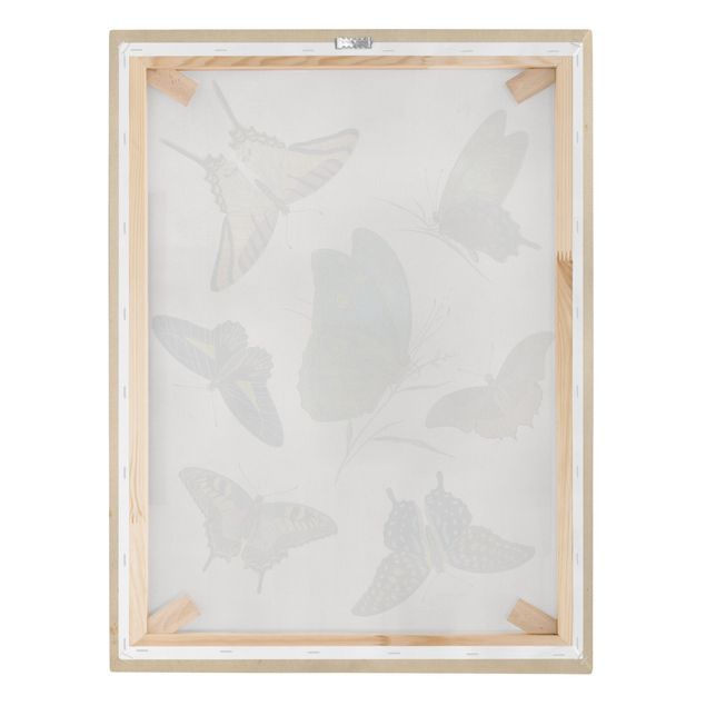 Tableau turquoise Illustration vintage Papillons Exotiques