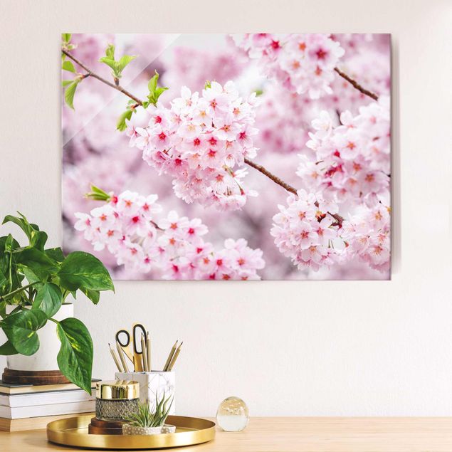 Déco murale cuisine Japanese Cherry Blossoms