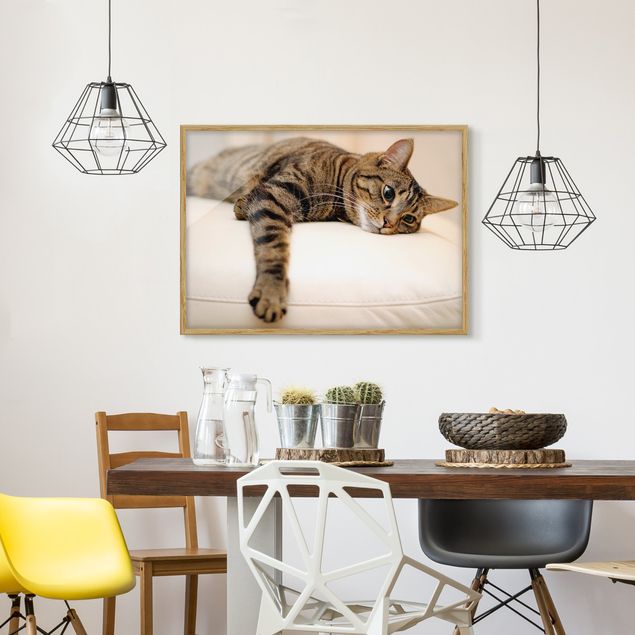Tableaux moderne Chat Chill Out