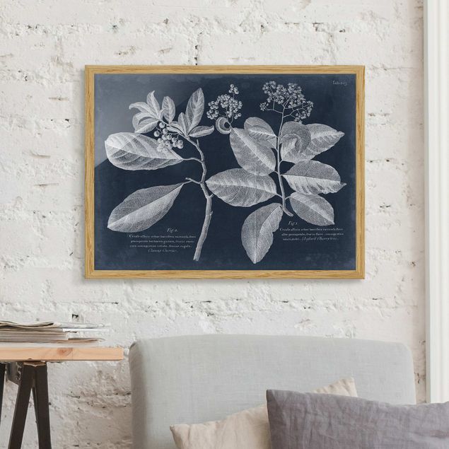 Affiches encadrées fleurs Feuillage bleu foncé - Département Kordie