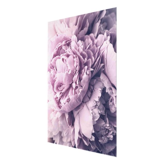 tableaux floraux Fleurs de pivoines violettes