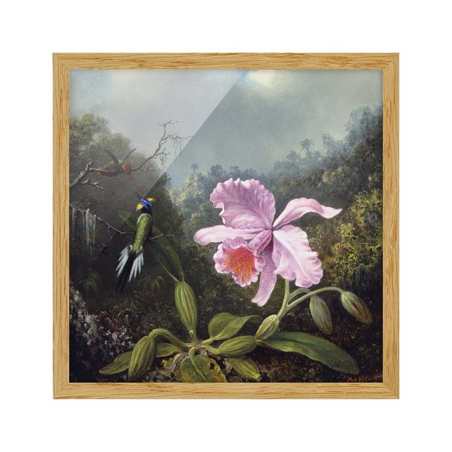 Tableaux encadrés fleurs Martin Johnson Heade - Nature morte avec une orchidée et un couple de colibris