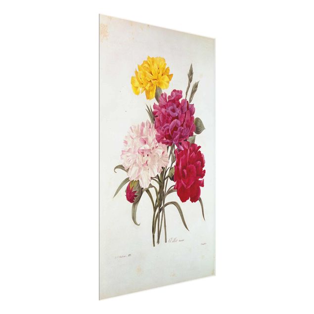 Tableaux en verre fleurs Pierre Joseph Redoute - Clous de Girofle