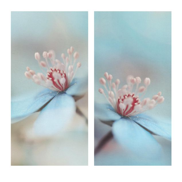 Tableau fleurs Fleurs en bleu clair