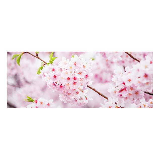 Tableau moderne Japanese Cherry Blossoms