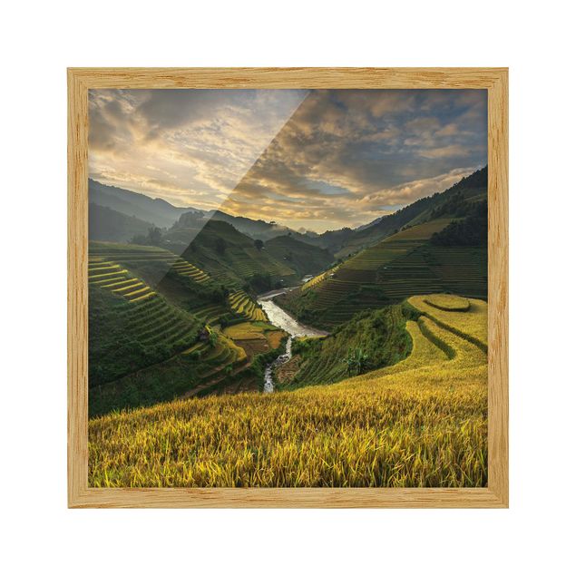 Tableau montagnes Plantations de riz au Vietnam