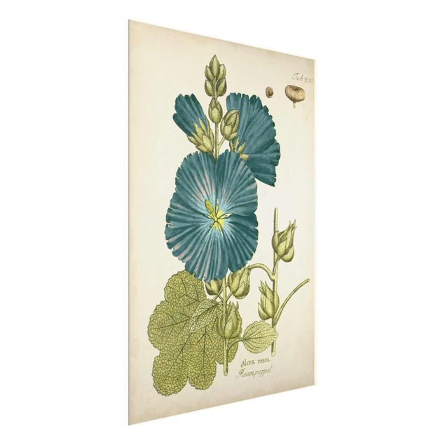 tableaux floraux Botanique vintage en bleu Rose Poplar