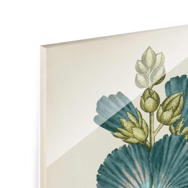 Tableaux muraux Botanique vintage en bleu Rose Poplar