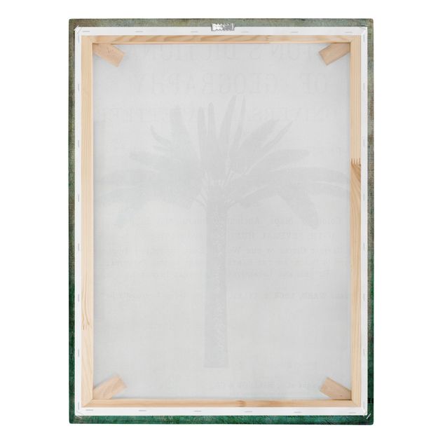 Tableaux de Andrea Haase Collage Vintage - Antique Palmier