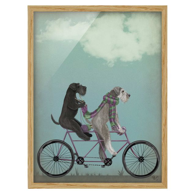 Cadre animaux Cyclisme - Tandem Schnauzer