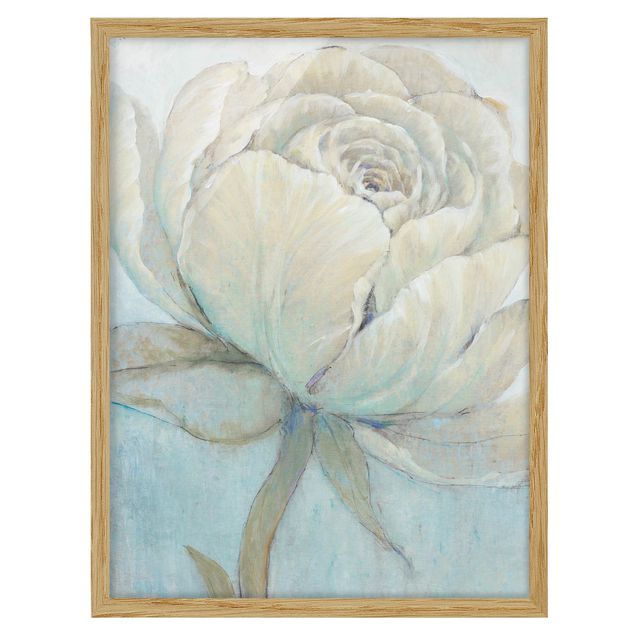 tableaux floraux Rose Anglais Pastel