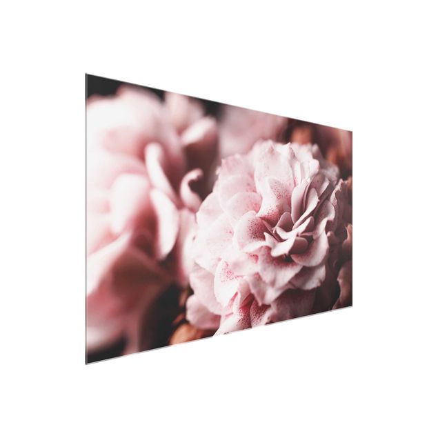 Tableaux en verre fleurs Rose Pastel Shabby Pink