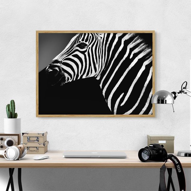 Tableaux encadrés noir et blanc Zebra Safari Art