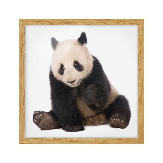 Tableau moderne Pattes de panda