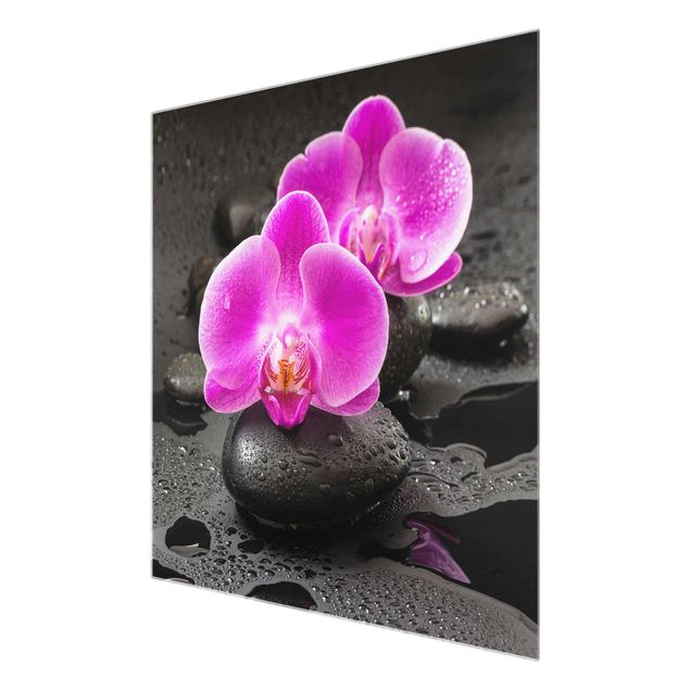 Tableau fleurs Fleur Orchidée Rose sur Pierres avec Gouttes