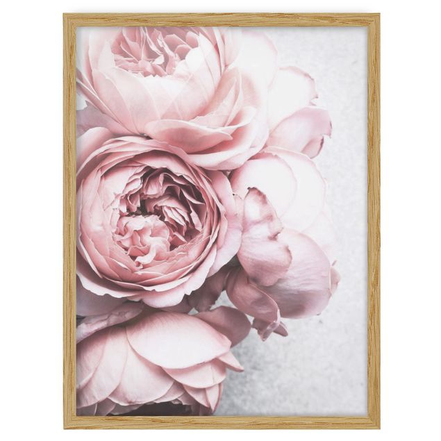 Tableaux fleurs Fleurs de Pivoine Rose Clair Pastel Shabby