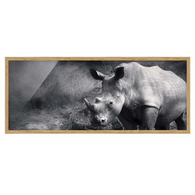 Tableaux animaux Rhinocéros solitaire