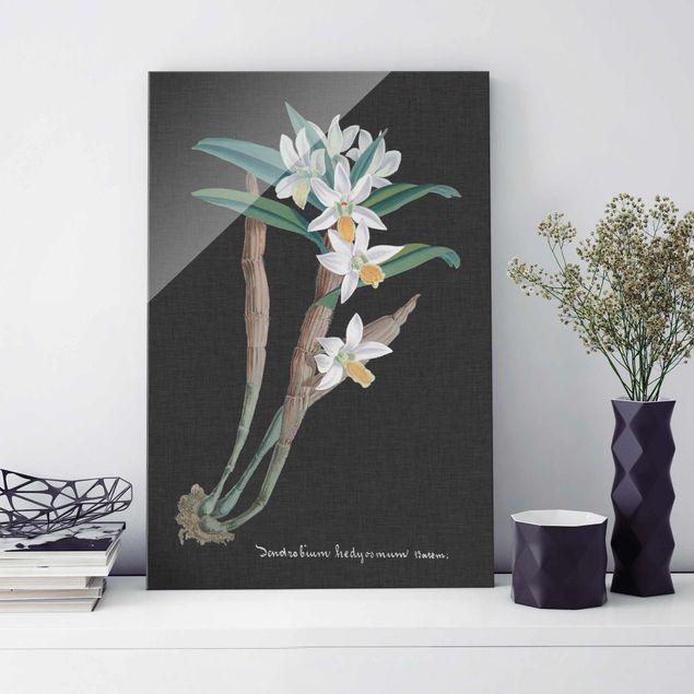Tableaux en verre orchidée Orchidée blanche sur lin I