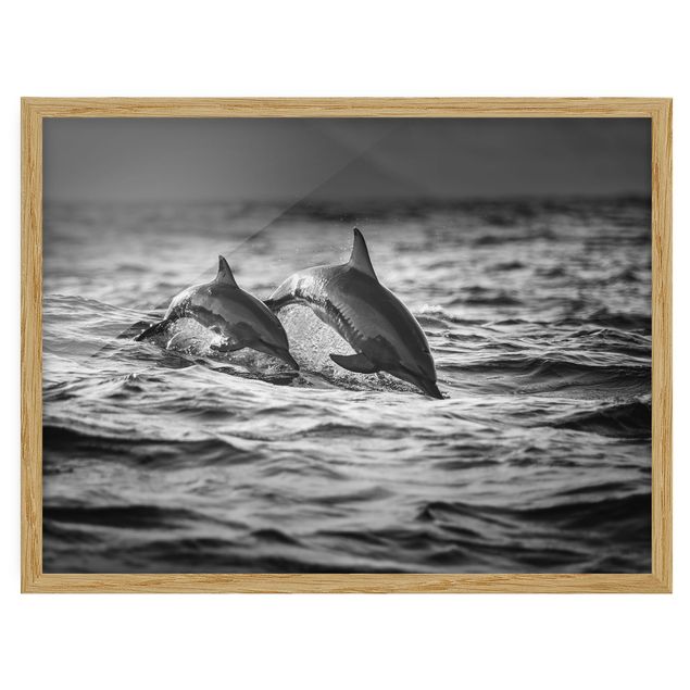 Tableaux encadrés animaux Deux dauphins qui sautent