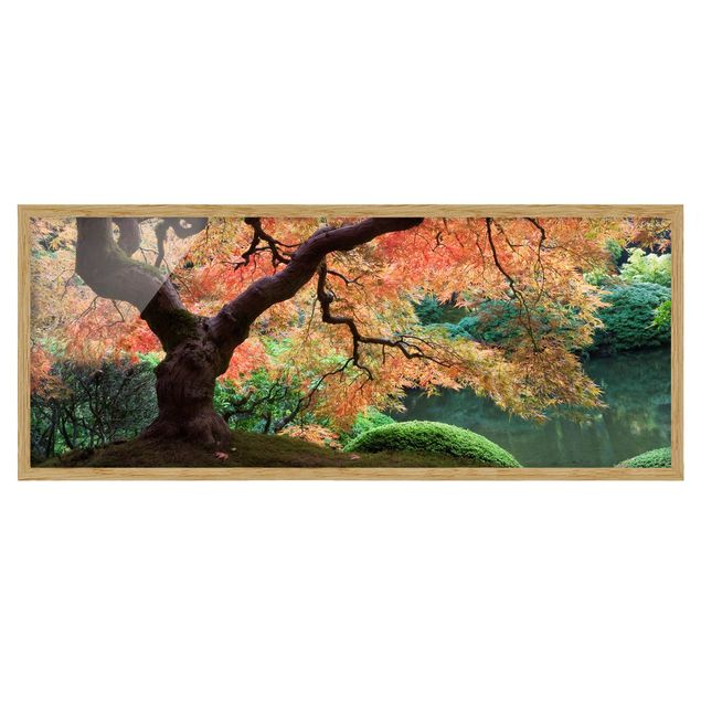 Affiches encadrées paysage Jardin japonais