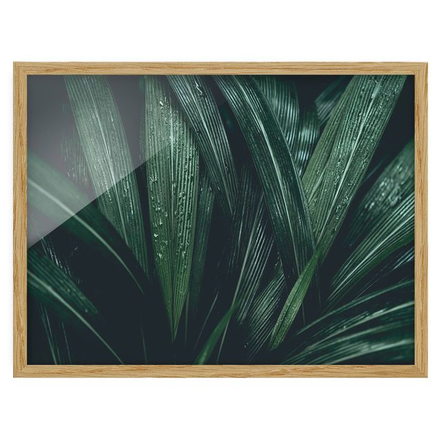 tableaux floraux Feuilles de palmier vertes