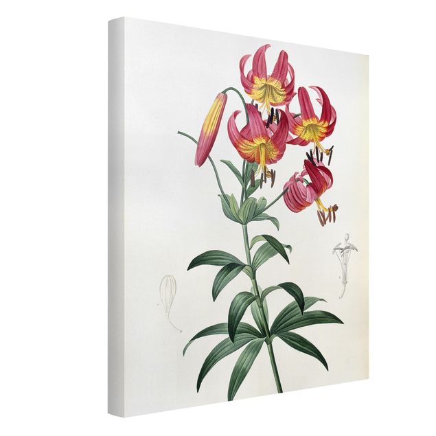Tableaux fleurs Pierre Joseph Redoute - Lilium Superbum