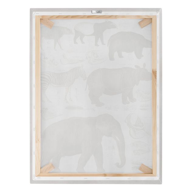 Toile zebres Tableau Botanique éléphant, zèbre et rhino