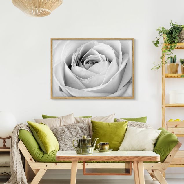 Affiches encadrées noir et blanc Close Up Rose