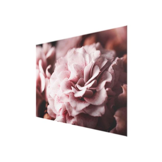 tableaux floraux Rose Pastel Shabby Pink